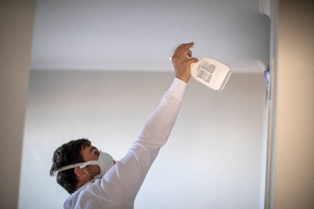 Mold Testing and Removal in Holton, KS