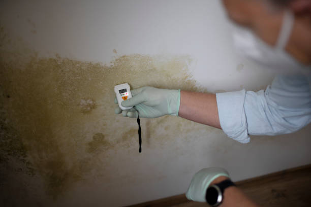 Best Water Damage Restoration  in Holton, KS
