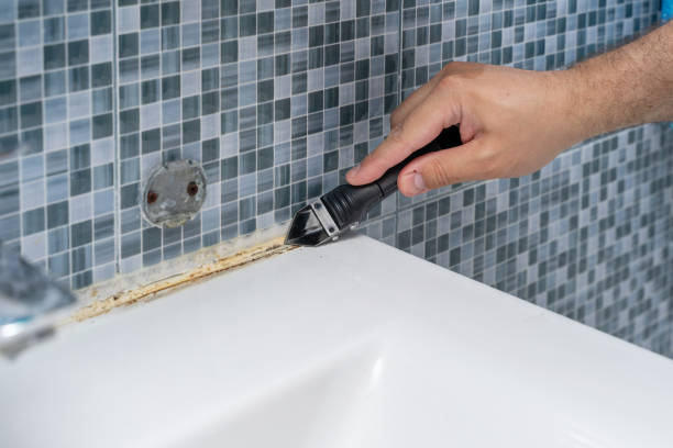 Best Mold Remediation  in Holton, KS
