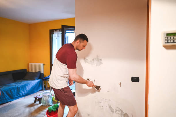 Best Water Damage Restoration  in Holton, KS