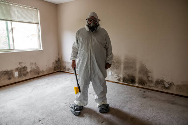 Best Residential Mold Removal  in Holton, KS